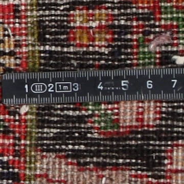 Knot detail view