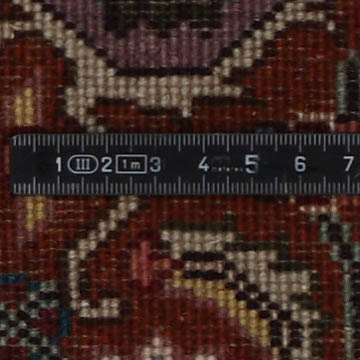 Knot detail view