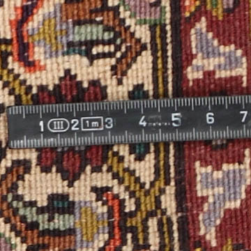 Knoten Detailansicht