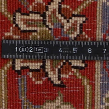 Knoten Detailansicht