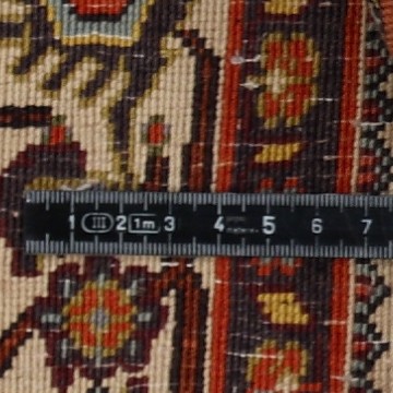 Knoten Detailansicht