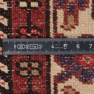 Knoten Detailansicht