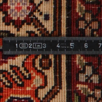 Knoten Detailansicht