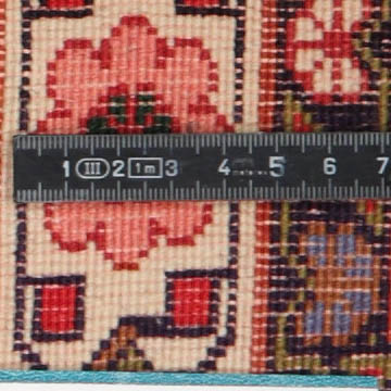 Knoten Detailansicht