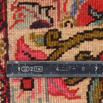 Knoten Detailansicht