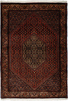 980875 - Bidjar 170x118cm